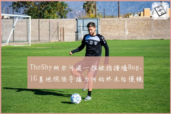 TheShy纳尔河道一推被指撞墙Bug,iG基地现场导播为何始终未给慢镜头回放?