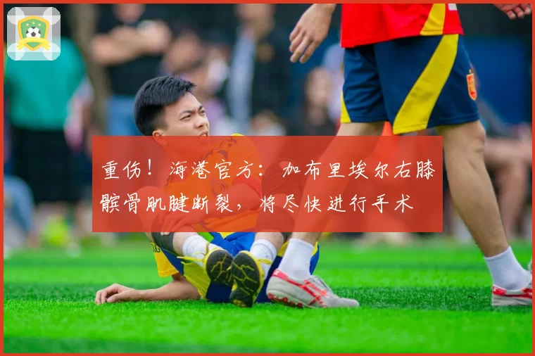 重伤!海港官方:加布里埃尔右膝髌骨肌腱断裂,将尽快进行手术