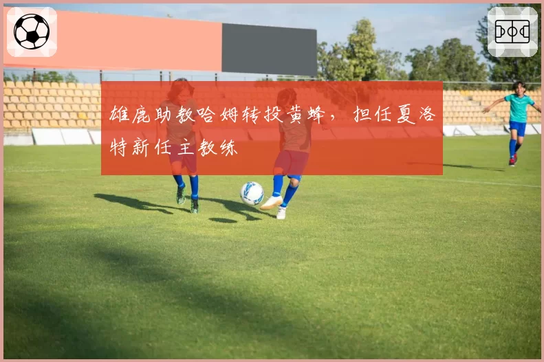 雄鹿助教哈姆转投黄蜂，担任夏洛特新任主教练