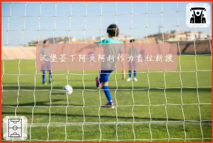 汉堡签下阿莫阿科作为首位新援