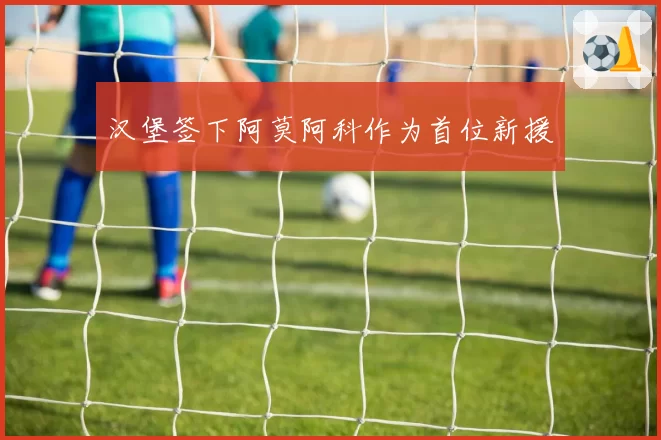 汉堡签下阿莫阿科作为首位新援