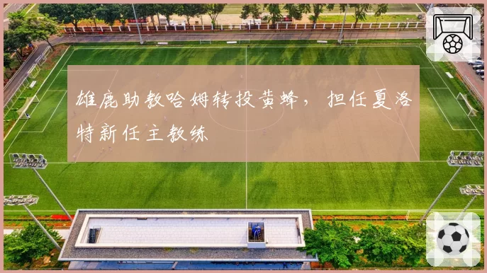 雄鹿助教哈姆转投黄蜂，担任夏洛特新任主教练